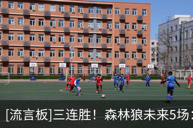 [流言板]三连胜！森林狼未来5场：骑士、勇士、快船、马刺、雄鹿